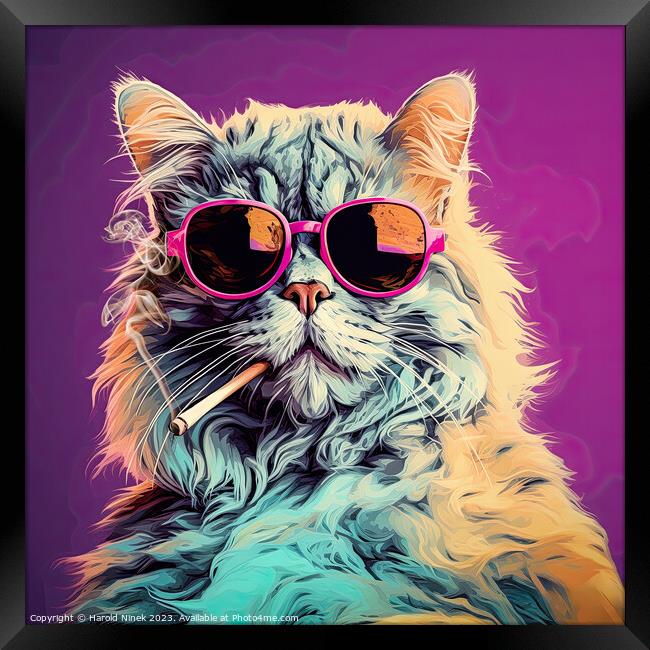 Cool Cat Framed Print by Harold Ninek