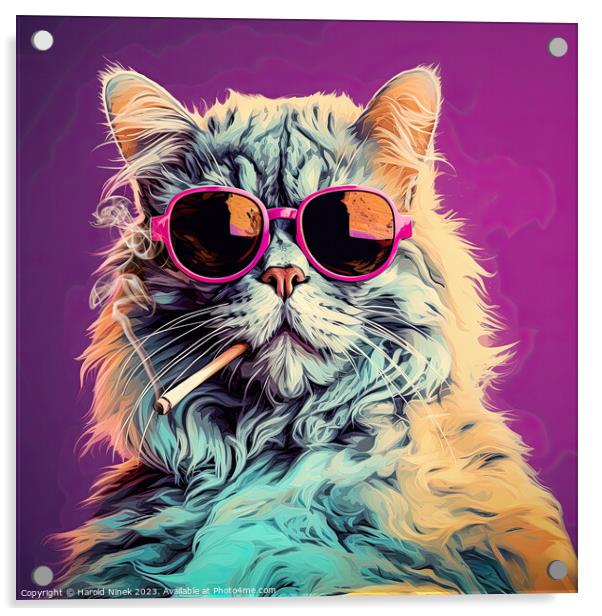 Cool Cat Acrylic by Harold Ninek