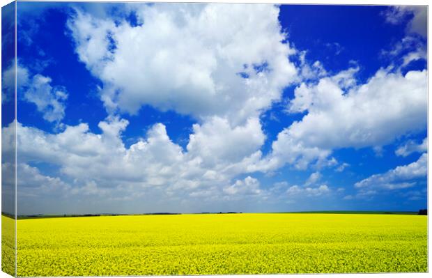 Yellow and Blue with Scattered Clouds Canvas Print by Dave Reede