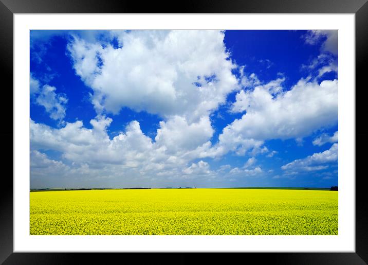 Yellow and Blue with Scattered Clouds Framed Mounted Print by Dave Reede