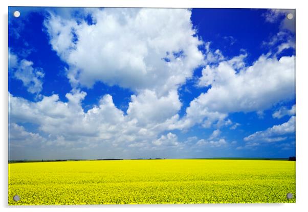 Yellow and Blue with Scattered Clouds Acrylic by Dave Reede