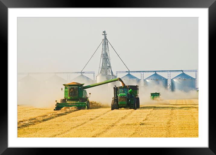 wheat harvest Framed Mounted Print by Dave Reede