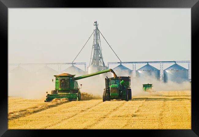 wheat harvest Framed Print by Dave Reede