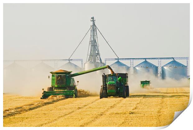 wheat harvest Print by Dave Reede