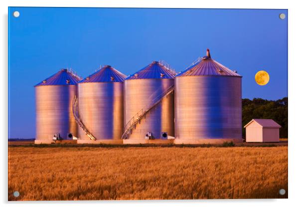 field of mature wheat/new grain bins Acrylic by Dave Reede