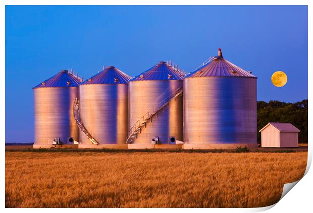 field of mature wheat/new grain bins Print by Dave Reede