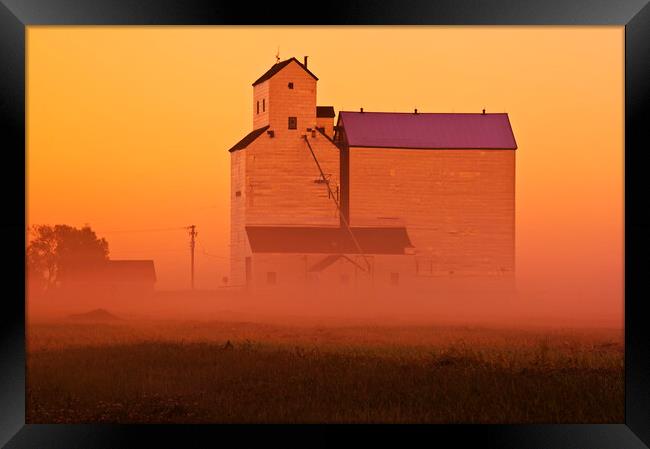 grain elevator in early morning mist Framed Print by Dave Reede