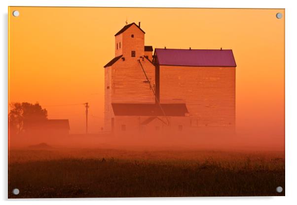 grain elevator in early morning mist Acrylic by Dave Reede