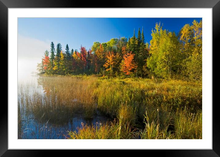 autumn, Bunny Lake Framed Mounted Print by Dave Reede
