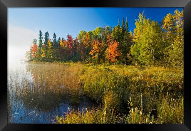 autumn, Bunny Lake Framed Print by Dave Reede
