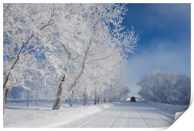  snow covered road Print by Dave Reede