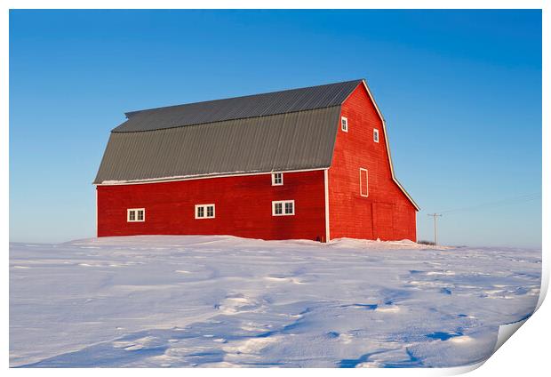 red barn  Print by Dave Reede