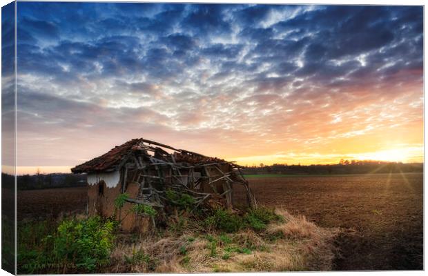An old ruined hut Canvas Print by Dejan Travica