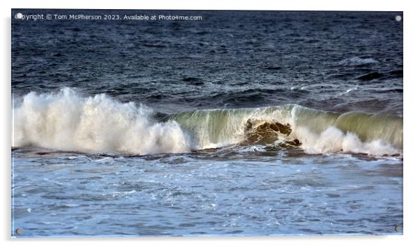 Serene Seascape on Moray Firth Acrylic by Tom McPherson