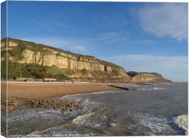 The cliffs of Hastings in East Sussex. Canvas Print by Mark Ward
