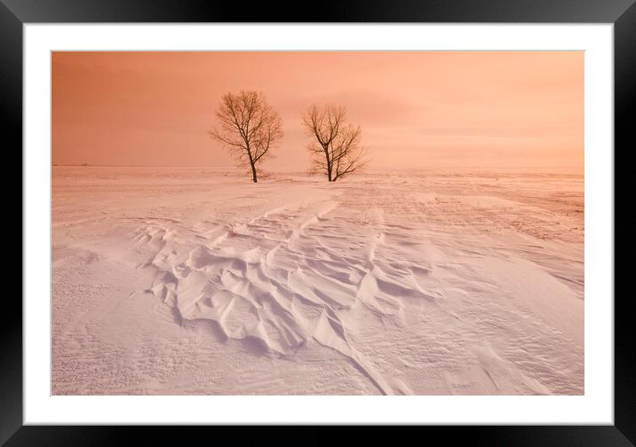 Resiience in the cold Framed Mounted Print by Dave Reede