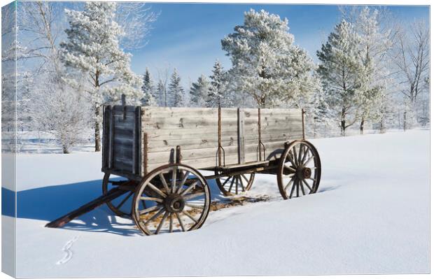 old wagon, hoarfrost on trees Canvas Print by Dave Reede