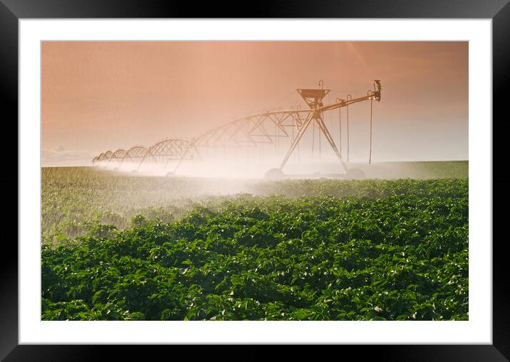 Irrigating the Crop Framed Mounted Print by Dave Reede