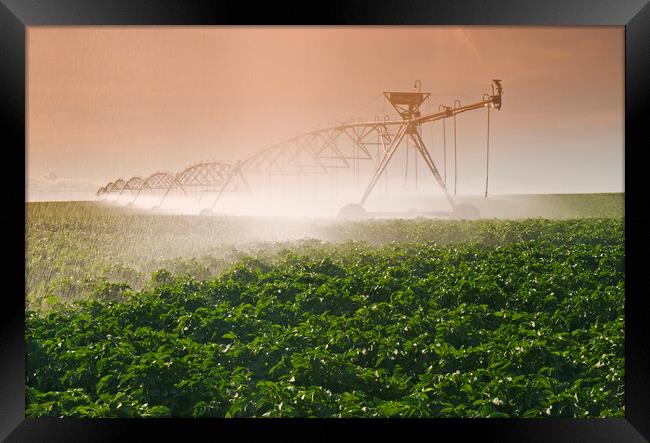 Irrigating the Crop Framed Print by Dave Reede