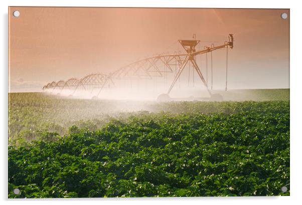 Irrigating the Crop Acrylic by Dave Reede