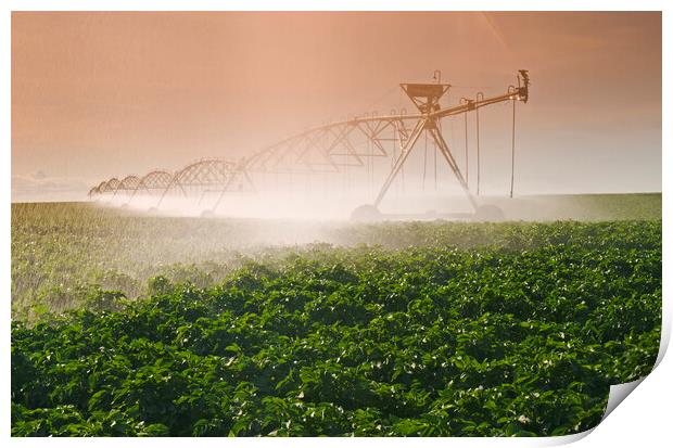 Irrigating the Crop Print by Dave Reede