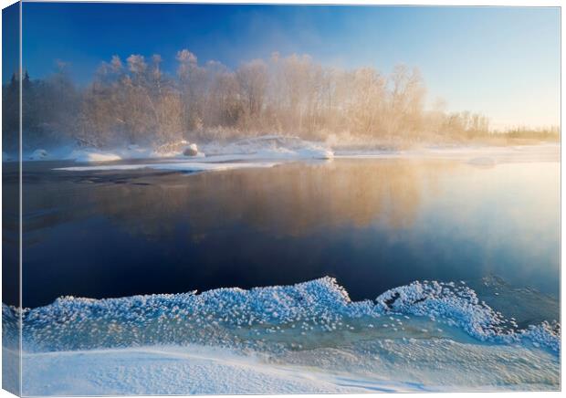 winter along the Whiteshell River Canvas Print by Dave Reede
