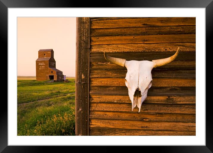 Hanging Out in a Ghost Town Framed Mounted Print by Dave Reede
