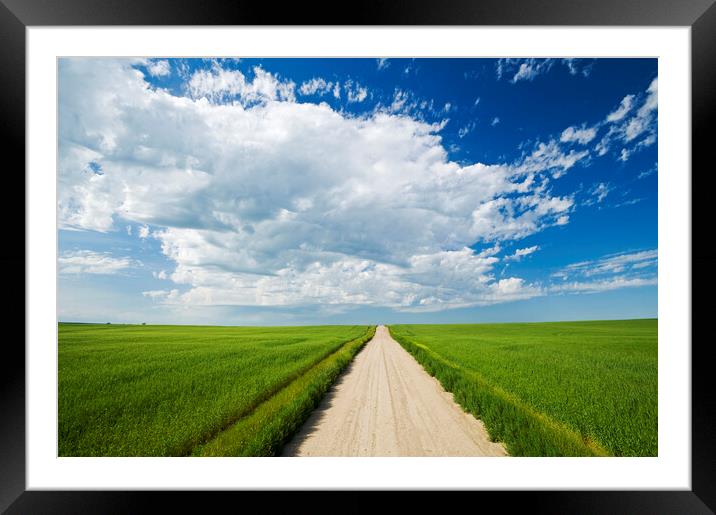 country road through grain fields Framed Mounted Print by Dave Reede
