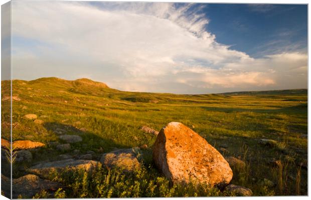 Grasslands National Park Canvas Print by Dave Reede