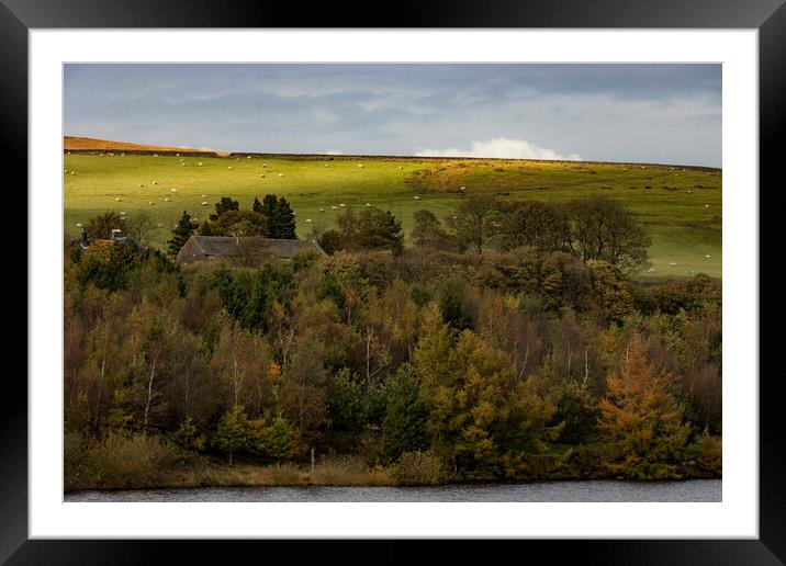 Scenes of Yorkshire - Shoreline Framed Mounted Print by Glen Allen