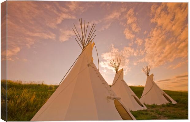 Tipis at Sunset Canvas Print by Dave Reede