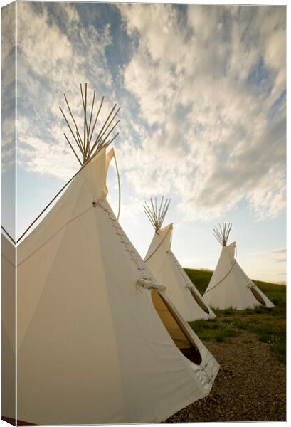 Tipis Canvas Print by Dave Reede