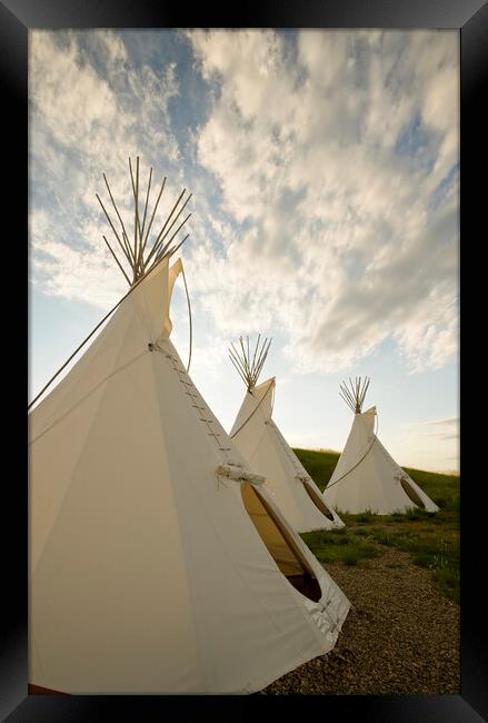 Tipis Framed Print by Dave Reede