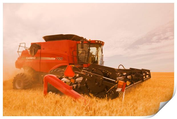 a combine harvests durum wheat  Print by Dave Reede