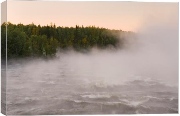 Otter Rapids along the Churchill River Canvas Print by Dave Reede