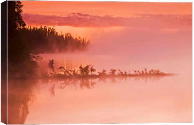 Little Deer Lake Canvas Print by Dave Reede