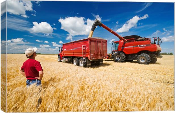 a combine augers barley into a farm truck Canvas Print by Dave Reede
