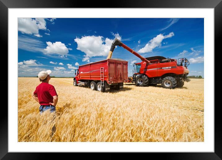 a combine augers barley into a farm truck Framed Mounted Print by Dave Reede