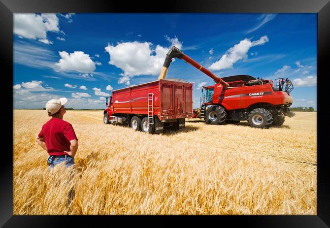 a combine augers barley into a farm truck Framed Print by Dave Reede