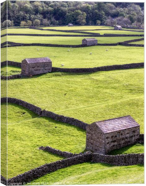 Gunnerside Meadows, Yorkshire Dales Canvas Print by Jim Monk