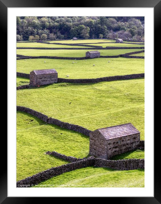 Gunnerside Meadows, Yorkshire Dales Framed Mounted Print by Jim Monk