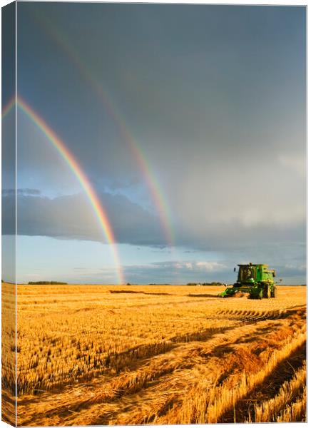 evening wheat harvest Canvas Print by Dave Reede