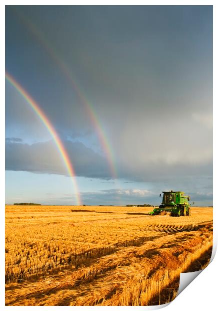 evening wheat harvest Print by Dave Reede