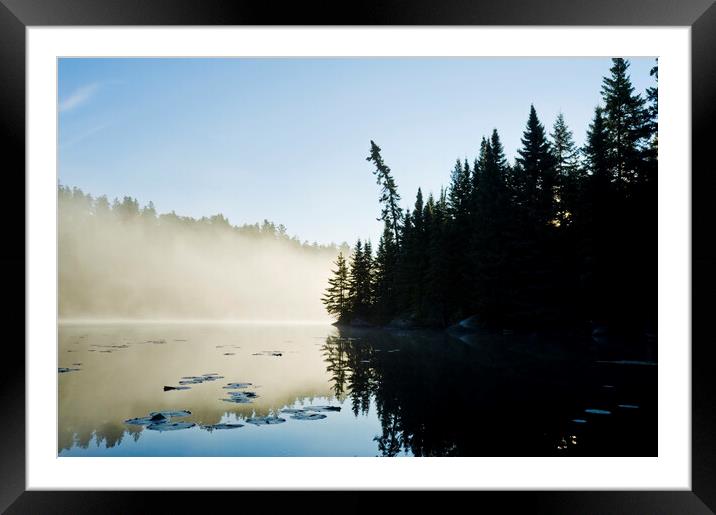 Rushing River Framed Mounted Print by Dave Reede