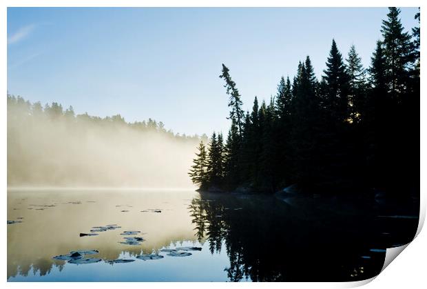 Rushing River Print by Dave Reede