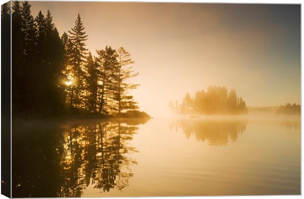 Mist Over Blindfold Lake Canvas Print by Dave Reede