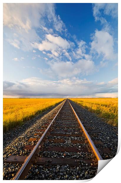 railway through farmland Print by Dave Reede