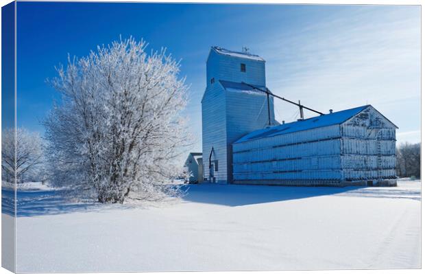 old grain elevator Canvas Print by Dave Reede