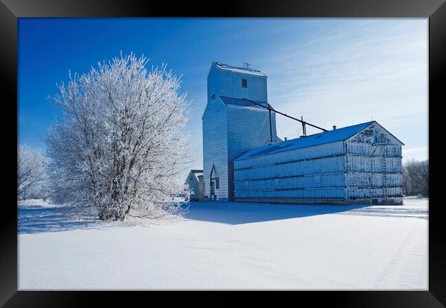 old grain elevator Framed Print by Dave Reede