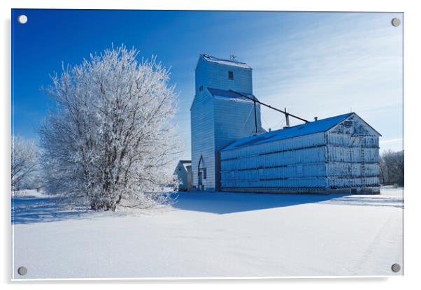 old grain elevator Acrylic by Dave Reede